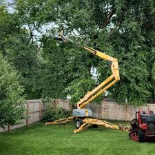 Lawn Grading and Leveling in Stanley, VA